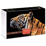 Пазл 500 эл. Hatber Premium «Legend Art Series. Взгляд тигра», подарочная коробка + Постер