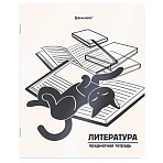 Тетрадь предметная КОТ-НЕПОСЕДА 48 л., пластиковая обложка, ЛИТЕРАТУРА, линия, подсказ, BRAUBERG