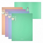 Папка на 2 кольцах ERICH KRAUSE Matt Pastel Bloom, 24 мм, до 150 листов, ассорти, 0.6 мм