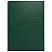 превью Книга учета 96 л., клетка, твердая, бумвинил, офсет, герб, А4 (200×290 мм), BRAUBERG, зеленая
