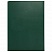 превью Книга учета 96 л., клетка, твердая, бумвинил, офсет, герб, А4 (200×290 мм), BRAUBERG, зеленая