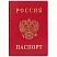 превью Обложка «Паспорт России», вертикальная, ПВХ, цвет красный