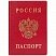 превью Обложка «Паспорт России», вертикальная, ПВХ, цвет красный