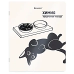 Тетрадь предметная КОТ-НЕПОСЕДА 48 л., пластиковая обложка, ХИМИЯ, клетка, подсказ, BRAUBERG