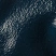 превью Перчатки рабочие защитные Manipula Specialist Техник хлопковые с нитрильным покрытием синие (размер 10 (XL), MG-224)