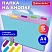 превью Папка-органайзер на кнопке 5 отделений, BRAUBERG «Extra», А4, голубая с лиловым