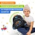 превью Рюкзак BRAUBERG KIDS PLAY детский, 1 отделение, 3 кармана, Funny wheels, 29×23х12 см