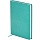 Ежедневник недатированный, А5, 136л., твердый переплет, кожзам, BG «Winner. Light teal», светло-бирюзовый