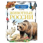 Энциклопедия Росмэн 170×220, «Детская энциклопедия Росмэн. Животные России», 96стр., 10+