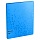Папка с 60 вкладышами Berlingo «Neon», 24мм, 1000мкм, голубой неон, с внутр. карманом