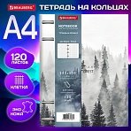 Тетрадь на кольцах БОЛЬШАЯ А4 (240×310 мм), 120 л., под кожу, BRAUBERG VISTA, «Туман»
