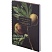 превью Тетрадь общая, BS, А5, 80л., клетка, спираль. Flora, инжир N4184