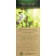 превью Чай зелёный Greenfield Green Melissa 25 пакетиков