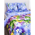 Постельное белье 2сп Бязь наб (нав. 70×70-2шт) 3925/1