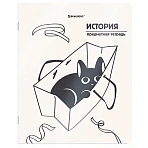 Тетрадь предметная КОТ-НЕПОСЕДА 48 л., пластиковая обложка, ИСТОРИЯ, клетка, подсказ, BRAUBERG