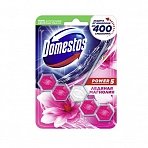 Подвесной блок для унитаза Domestos «Power 5. Ледяная Магнолия», 55г