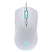 превью Мышь проводная DEFENDER Arga GM-049, 1200/1800/2400/3600 dpi, 5 кнопок + 1 колесо-кнопка, белый