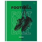 Дневник 5-11 кл. 48л. (твердый) BG «Football», матовая ламинация