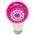 превью Фитолампа Uniel LED-A60-15W/SPSB/E27/CL PLP30WH форма A, прозрачная