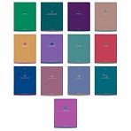 Тетради предметные, КОМПЛЕКТ 13 ПРЕДМЕТОВ, 48 л., матовая ламинация, BRAUBERG «MONOCOLOR»