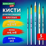Кисти НАБОР 5 шт. (БЕЛКА круглая № 3; КОЗА круглые № 6, 8; ПОНИ круглые № 2, 5), BRAUBERG KIDS