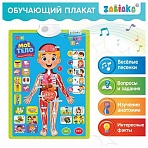 Плакат детский музыкальный обучающий «Изучаем анатомию: Моё тело», ZABIAKA