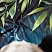 превью Полотенце НВ The Panda м0997 L 70×140