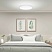 превью Умный потолочный светильник XIAOMI Mi Smart LED Ceiling Light, LED, 45 Вт, белый