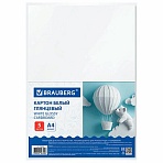 Картон белый А4 МЕЛОВАННЫЙ (белый оборот) 5 листов, BRAUBERG, 200×290 мм