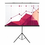 Экран Cactus Triscreen CS-PST-180×180, 180×180 см, 1:1, напольный, черный