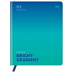 Дневник 1-11 кл. 48л. (ЛАЙТ) BG «Gradient. Blue», иск. кожа, печать, цветн. срез, ляссе
