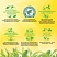 превью Чай зеленый Lipton Green (100 пакетиков в упаковке)