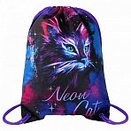 Мешок для обуви BRAUBERG PREMIUM, карман, подкладка, светоотражайка, 43×33 см, «Neon cat»
