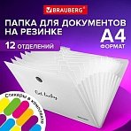 Папка-органайзер на резинке 12 отделений, BRAUBERG «Glassy», А4, прозрачная