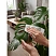 превью Салфетки хозяйственные Practi Comfort 25×35см 40г/м2 70л/рул