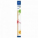 Линейка пластиковая 30 см BRAUBERG «FRESH ZONE»прозрачнаяс оранжевой шкалой210759