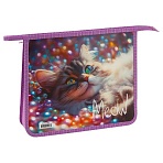 Папка для тетрадей 2 отделения, ArtSpace «Striped Cat», А5, пластик, на молнии