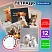 превью Тетрадь 12 л. BRAUBERG косая линия, обложка картон, CATS AND DOGS