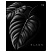 превью Тетрадь 80л., А5, клетка BG «Just Black», soft-touch ламинация, выб. лак