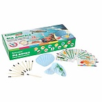 Набор для раскопок «Морские животные»12 видовкарточкиинструментыBRAUBERG KIDS665126