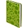 Ежедневник недатированный Attache Selection Campanula, А5, 160 л., синий
