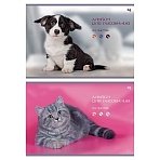 Альбом для рисования 40л., А4, на скрепке BG «Котик и собачка»