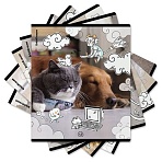 Тетрадь обложка пластик, А5, 48 л., скоба, клетка, ErichKrause, «Dream Cat» (микс в спайке)