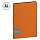 Папка с 40 вкладышами Berlingo «Color Zone», 21мм, 1000мкм, оранжевая