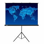 Экран Cactus Triscreen CS-PST-150×150, 150×150 см, 1:1, напольный, черный