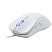 превью Мышь проводная DEFENDER Arga GM-049, 1200/1800/2400/3600 dpi, 5 кнопок + 1 колесо-кнопка, белый