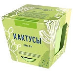 Набор для выращивания растений ТЫСЯЧА ЛИСТЬЕВ «Кактусы» (горшок, грунт, семена)