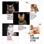 Тетрадь А5 48 л., HATBER скоба, клетка, обложка картон, «Котоюмор» (микс в спайке), 079790