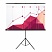 превью Экран Cactus Triscreen CS-PST-180×180, 180×180 см, 1:1, напольный, черный