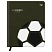 превью Дневник 1-11 кл. 48л. (твердый) BG «Sport. Football», иск. кожа, комбинирование материалов, тиснение фольгой, ляссе